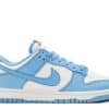 Nike Dunk Low Coast