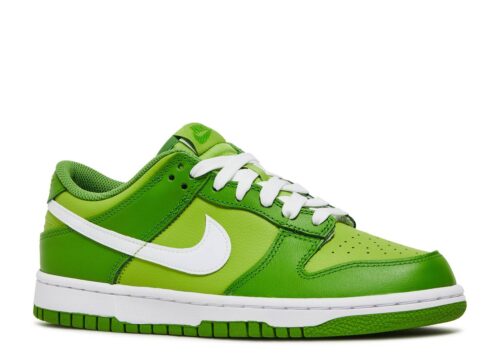 Nike Dunk Low (GS) 'Chlorophyll' - Full Circle Kicks