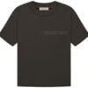 Fear of God Essentials T-shirt Off Black