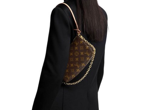 Louis Vuitton Pochette Accessories Monogram M82766