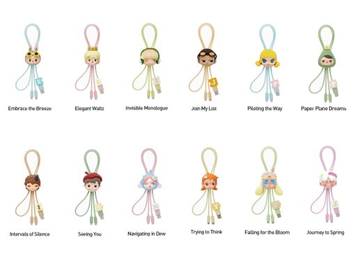 Pop Mart Hand in Hand Series 2 in 1 Cable Single Blind Box