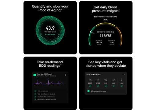 WHOOP MG Life Health and Fitness Tracker 12‑Month Membership Obsidian Titanium