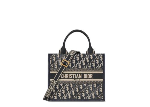 Dior Small Dior Book Tote Blue Dior Oblique Embroidery and Calfskin
