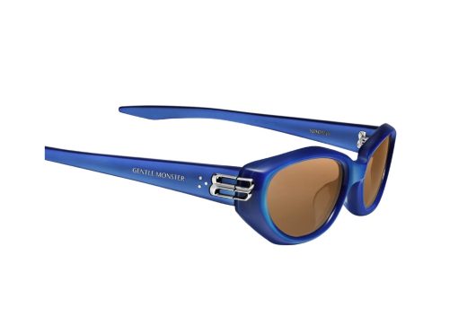 Gentle Monster Sosomo BLC9 BlueBrown