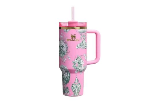 Stanley x Target x Wicked Flowstate Quencher 40oz Tumbler Ozian Reprise