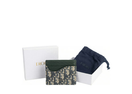 Dior Saddle Kartlık