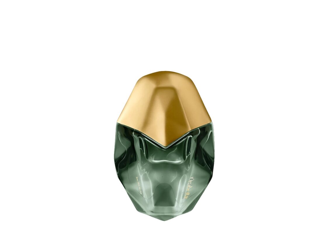 Görsel 1