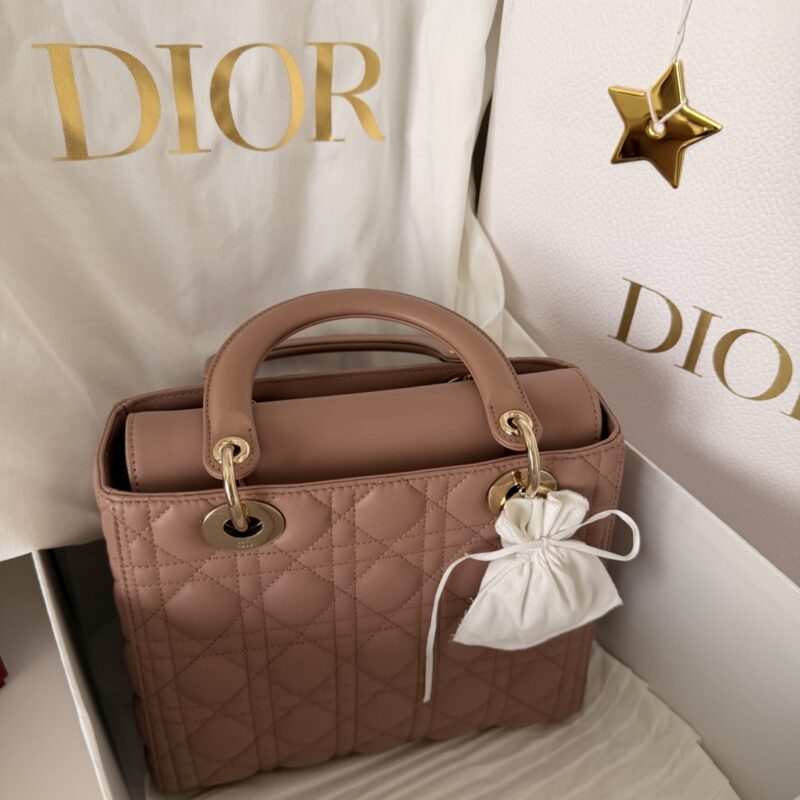 Dior Pudra Deri Omuz Çantası 5