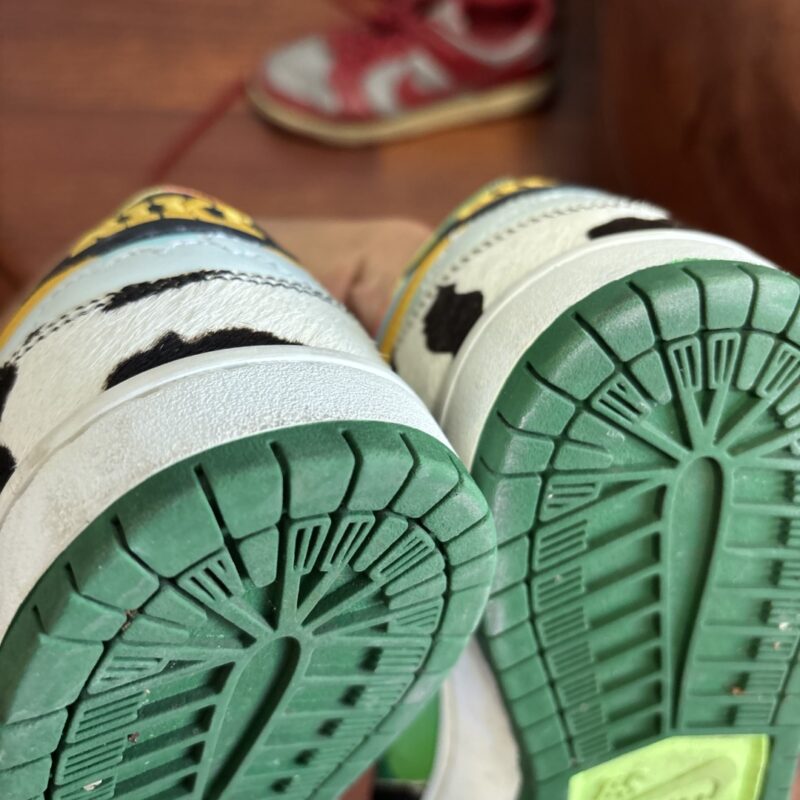 Ben and Jerrys dunk low 9