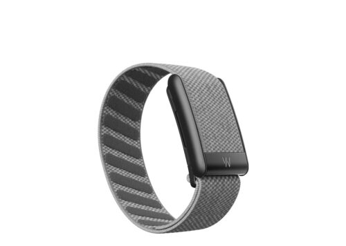 5.0 Life Health and Fitness Tracker 12‑Month Membership Graphite - Grey - 1