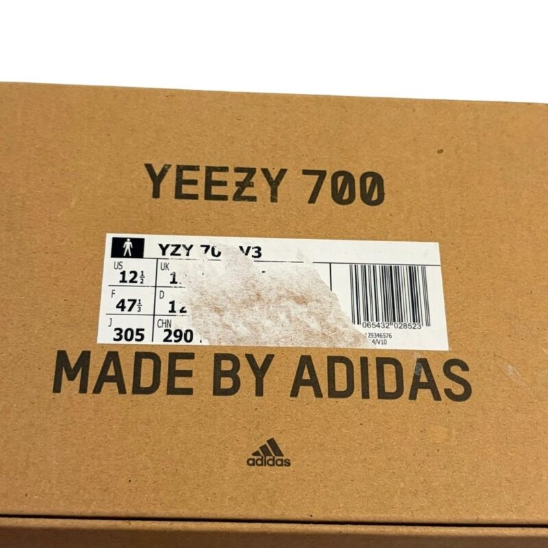 adidas Yeezy 700 V3 Safflower 9