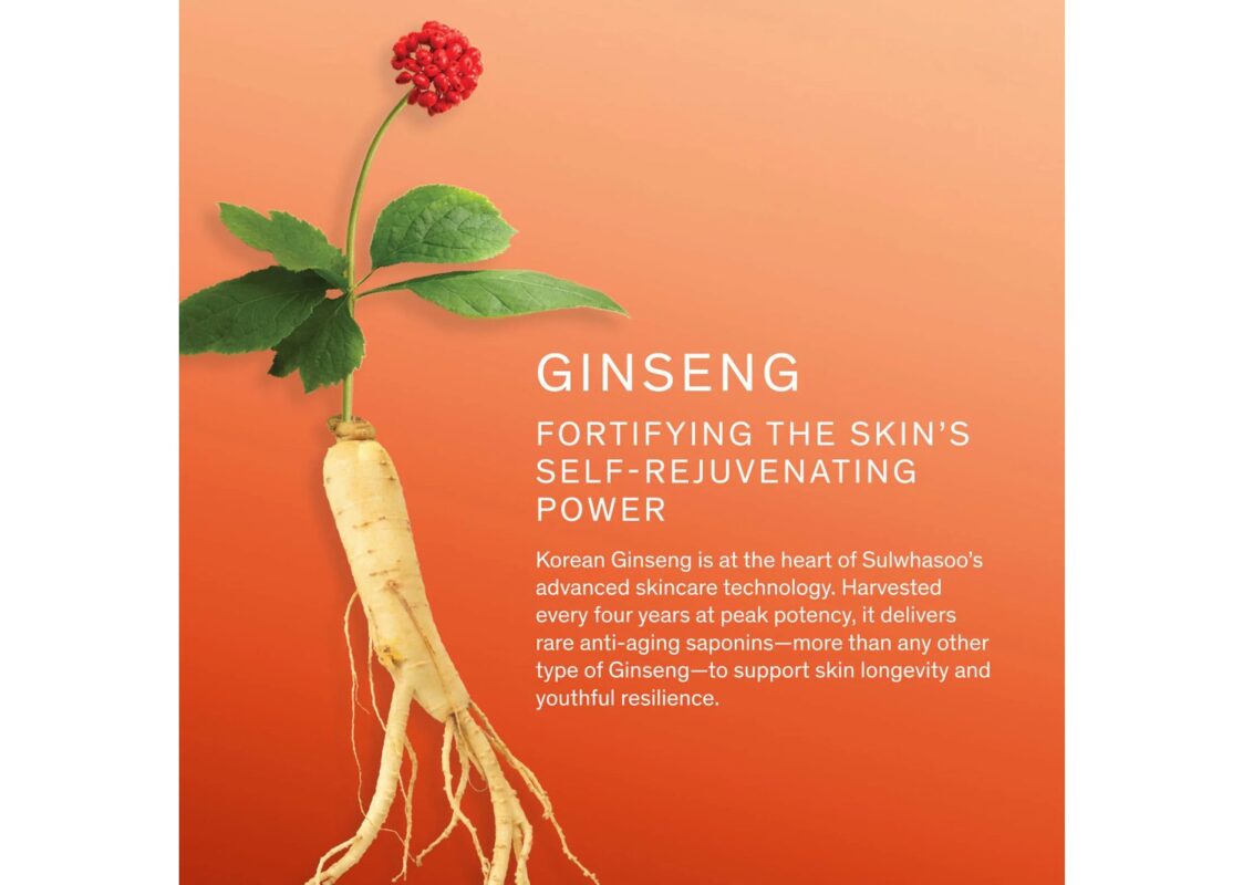 Sulwhasoo Concentrated Ginseng Rejuvenating Serum 4