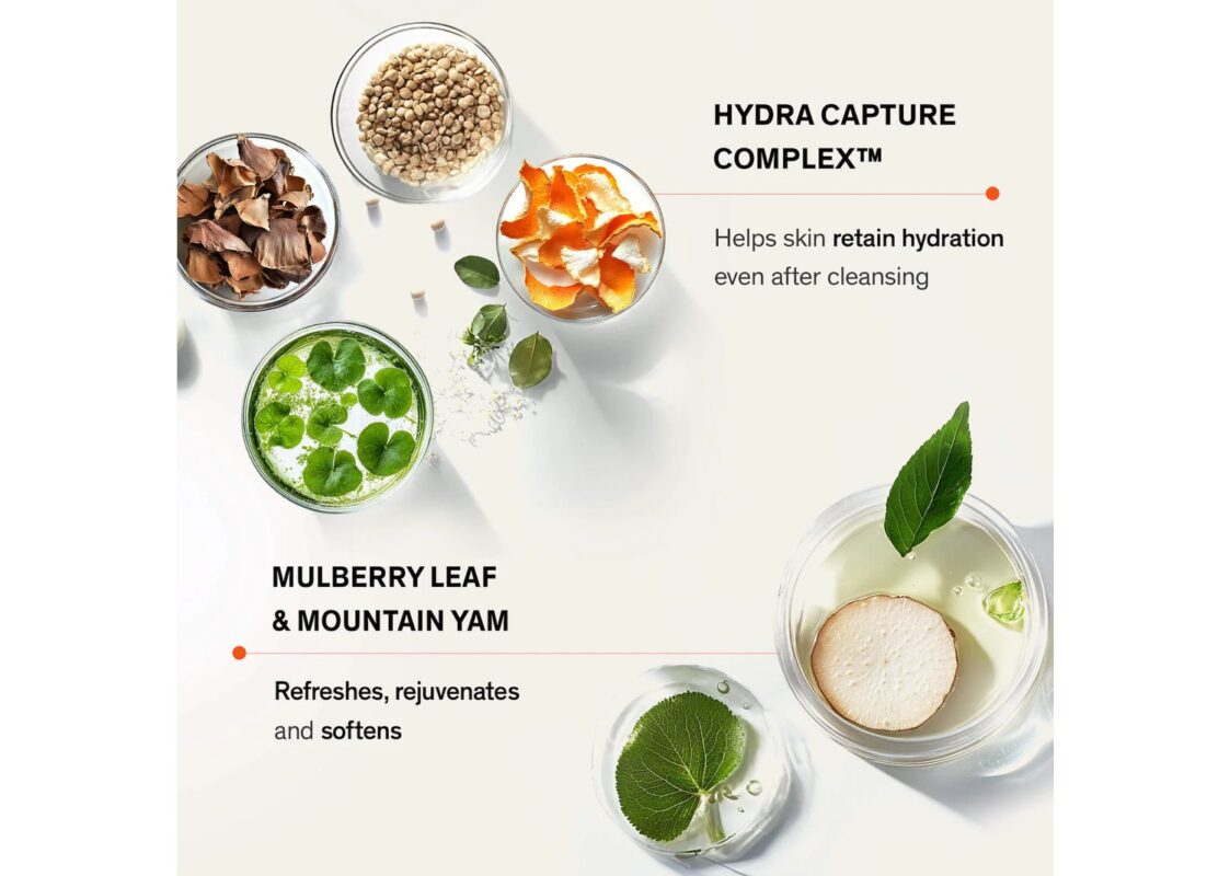 Sulwhasoo Gentle Cleansing Foam 4