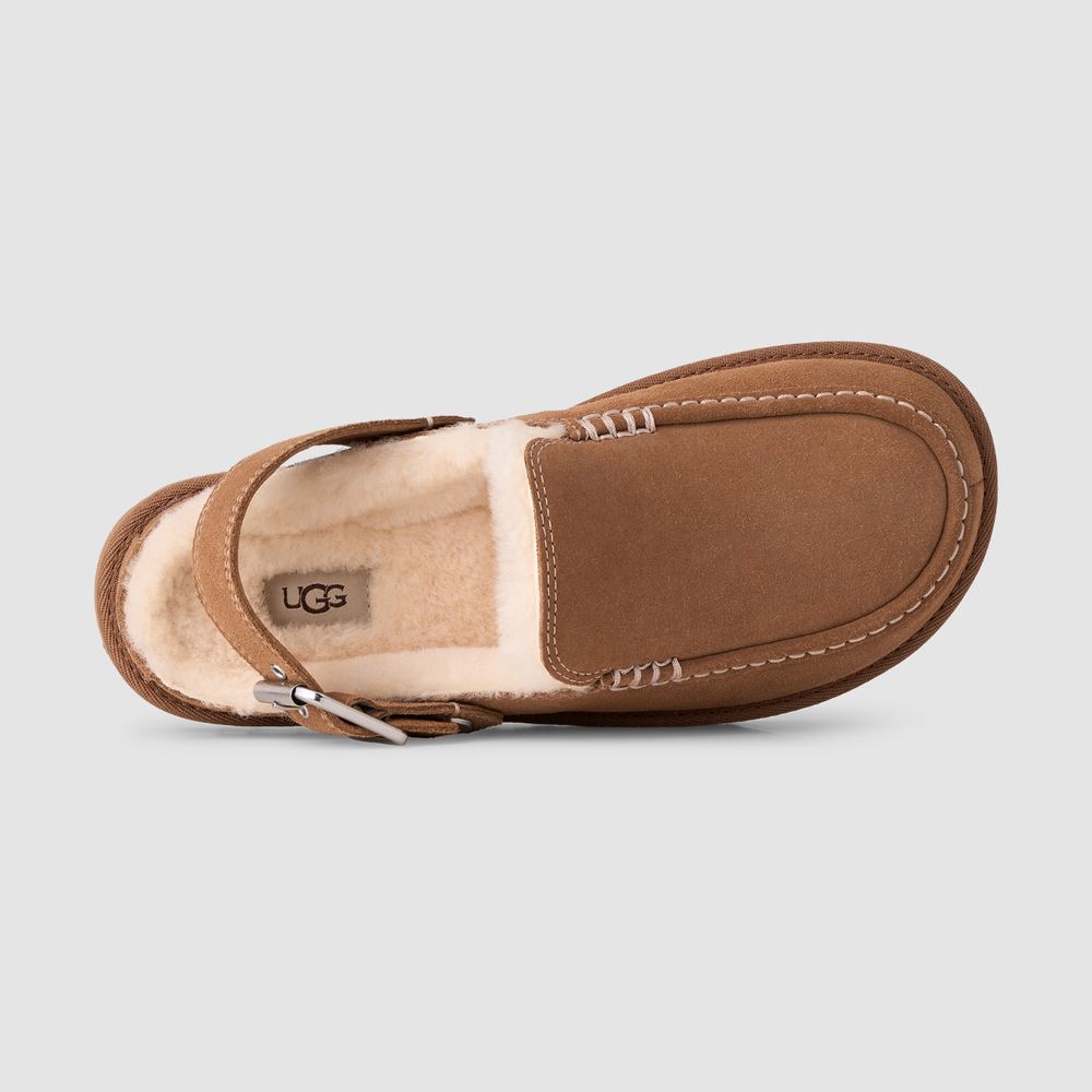 UGG Goldenstar Evelina Clog Chestnut üstten: tabanlığı kaplayan koyun postu ve burnu çerçeveleyen dikiş